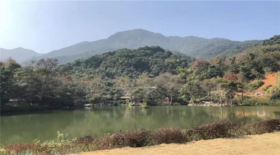 2024澳门原料网点站